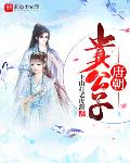 唐朝贵公子e文学