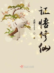 证仙录免费阅读