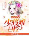 少将的小夫人免费阅读