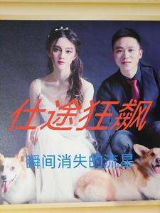 仕途狂飙免费阅读王斯宇